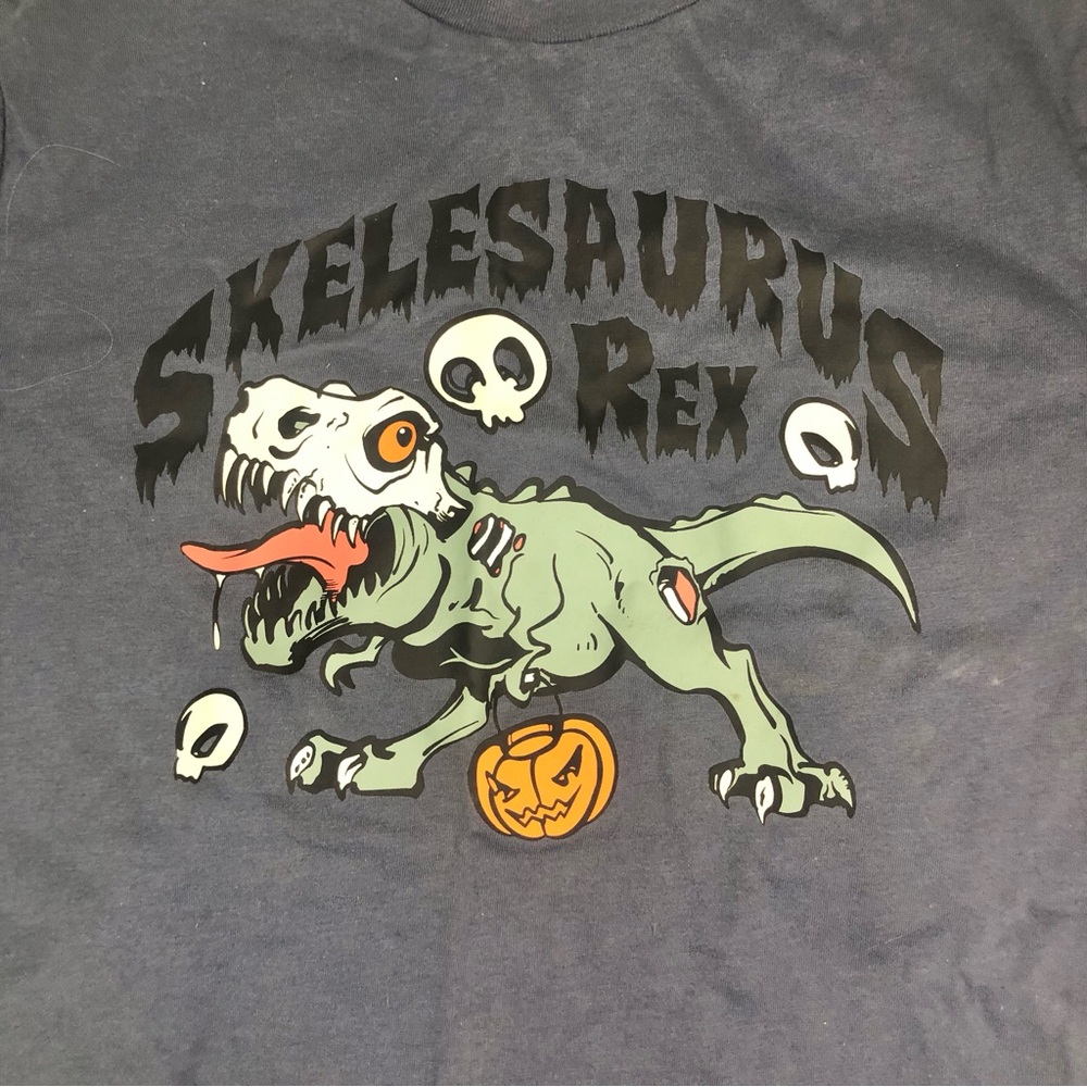 NWT Kids' Slate Grey 'Skelesaurus Rex' Graphic Tee Size Large 10 12 Ladies Small